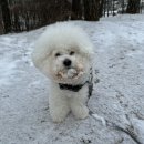 맞짱피씨 이미지