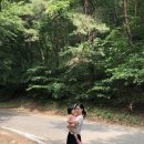 대치면사무소 | 여름여행 추천_청양 칠갑산 천문대 스타파크_청양 가볼만한 곳