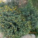 자원농장 이미지