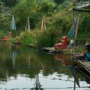 독정낚시터 이미지