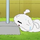 업프로짐 이미지