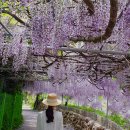 풀꽃민박 이미지