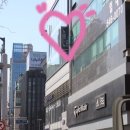라벨라뷰티 이미지