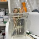 호아네김밥만두 | 08.08-08.14