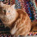 서울동물병원 이미지