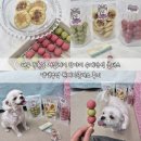 댕댕부엌