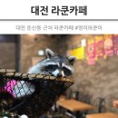 멍이와 쿤이 이미지