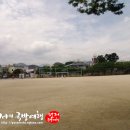 향청노인회 Daum카페