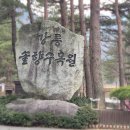 솔향수목원(솔숲광장) | 강릉 여행, 솔향 수목원의 겨울 운치와 전경