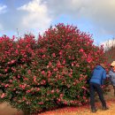 동이목장 이미지