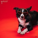 트러스트(TRUST)