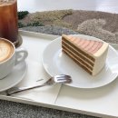 오렌지 애견카페 이미지