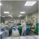 안산유통상가 2차 B동 | 반복 근무도 문제없는 곳, 안산아웃소싱 하리코리아