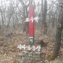 이정표농장 Daum카페