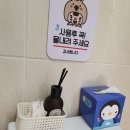 유유약국 | 광진구 샤브샤브 추운 날씨에 잘 어울리는 유유샤브 군자역점에서 점심