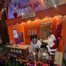 강아지집 | 대구애견동반식당 금복뒷고기 우리집강아지와 다녀온 후기