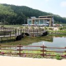 소금랜드 이미지