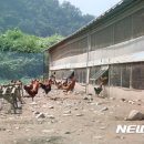 이인준 농장 뉴시스