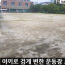 대전느리울중학교 이미지