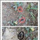 성모수퍼 이미지