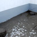 비석농산 이미지