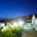 그람피하우스 이미지