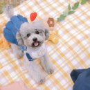 스튜디오산책 이미지