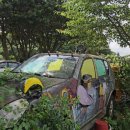 태평로512번길 이미지