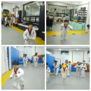 화이트타이거 태권도장 이미지