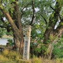 경기도 안성시 안성1동주민센터 이미지