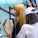 상큼하개 이미지