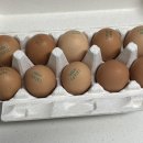 쉴만한 농원 이미지