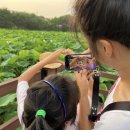 탕웨이 카카오 검색결과