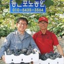 사현 이미지