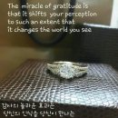 오늘의 '영어 명언'(299강) 로버트 홀든(Robert Holden) 이미지