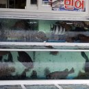 신안천사수산
