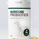 오복누리 이미지