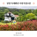 담양독채펜션 다랑지걸오캄 여행에 휴식을 더한 메타세콰이어가로수길 근처 숙소