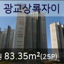 서울로얄치과의원 이미지