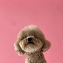 삼육사로26 이미지