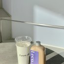 드리체커피 | 포스코사거리 카페 레코드에서 달고 진한 밀크티 마신 후기!