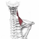 안산감동한의원 이미지