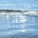 사계바당 이미지