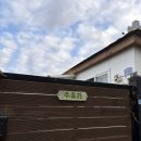 주 | [요가] SUYOGA JEJU | 수요가제주 후기