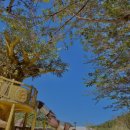 동구나무어린이공원 이미지