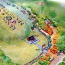 신덕4호 이미지