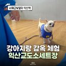 성당초등학교 | 익산교도소세트장 가는법 강아지 죄수복 대여 시티투어 정보 총정리
