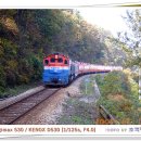 관광열차 이미지