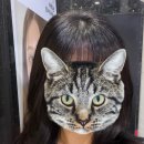 아임 헤어(I'm Hair) | 준오헤어노원사거리점, 배이지디자이너에게 받아본 푸석한 모발 심폐소생 클리닉받은 후기