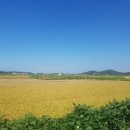 김포아라농장 이미지